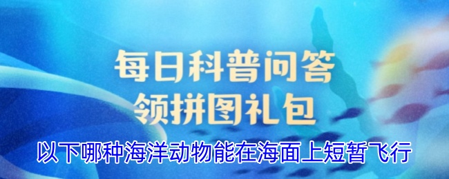 以下哪种海洋动物能在海面上短暂飞行